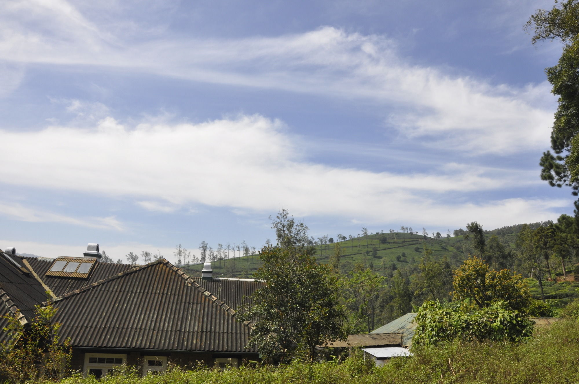 Scottish Planter Bungalow- Thema Collection Nuwara Eliya Exteriér fotografie